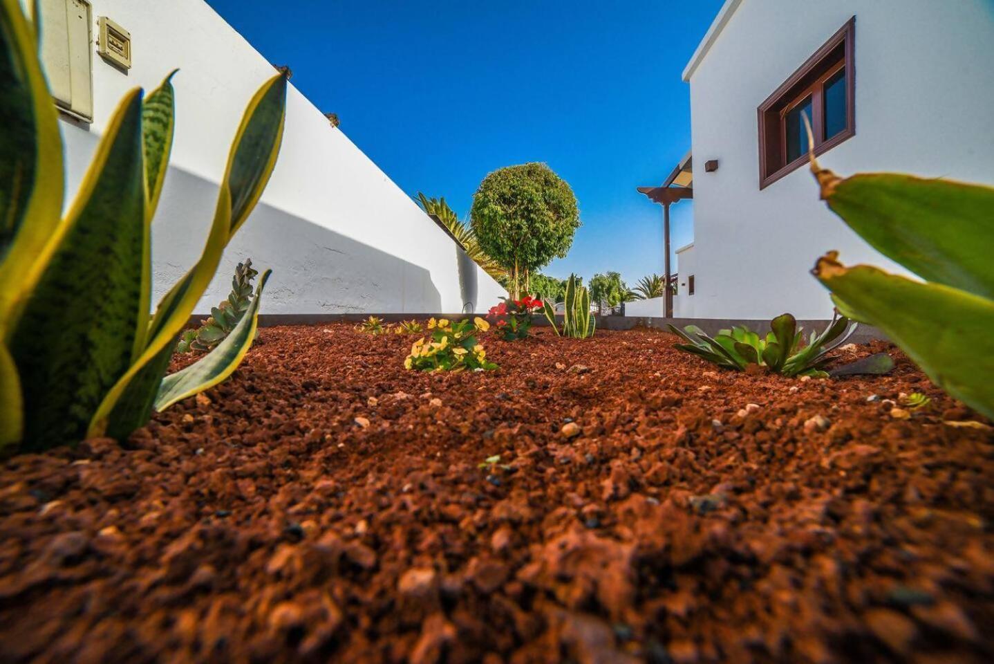 Agradable Y Familiar Con Piscina Casa Inima Vila Playa Blanca  Exterior foto